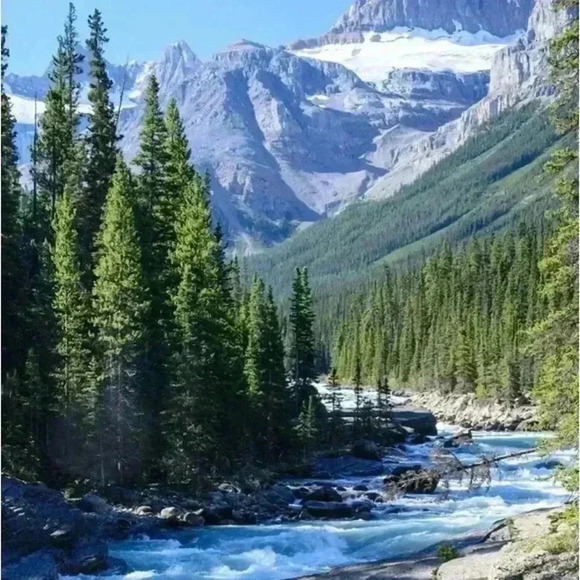 🆕Adult | FRIENDS  Sock & Bandana Set - Picture 8 of 13